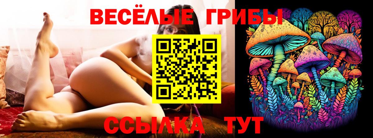 Джанкой  Галлюциногенные грибы Cubensis  Галлюциногенные грибы Psilocybine cubensis  Вход с VPN 