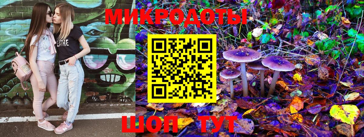 Галлюциногенные грибы Psilocybe Джанкой